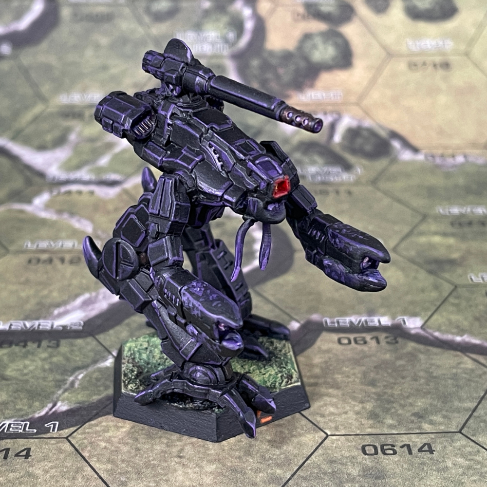 The Black Marauder