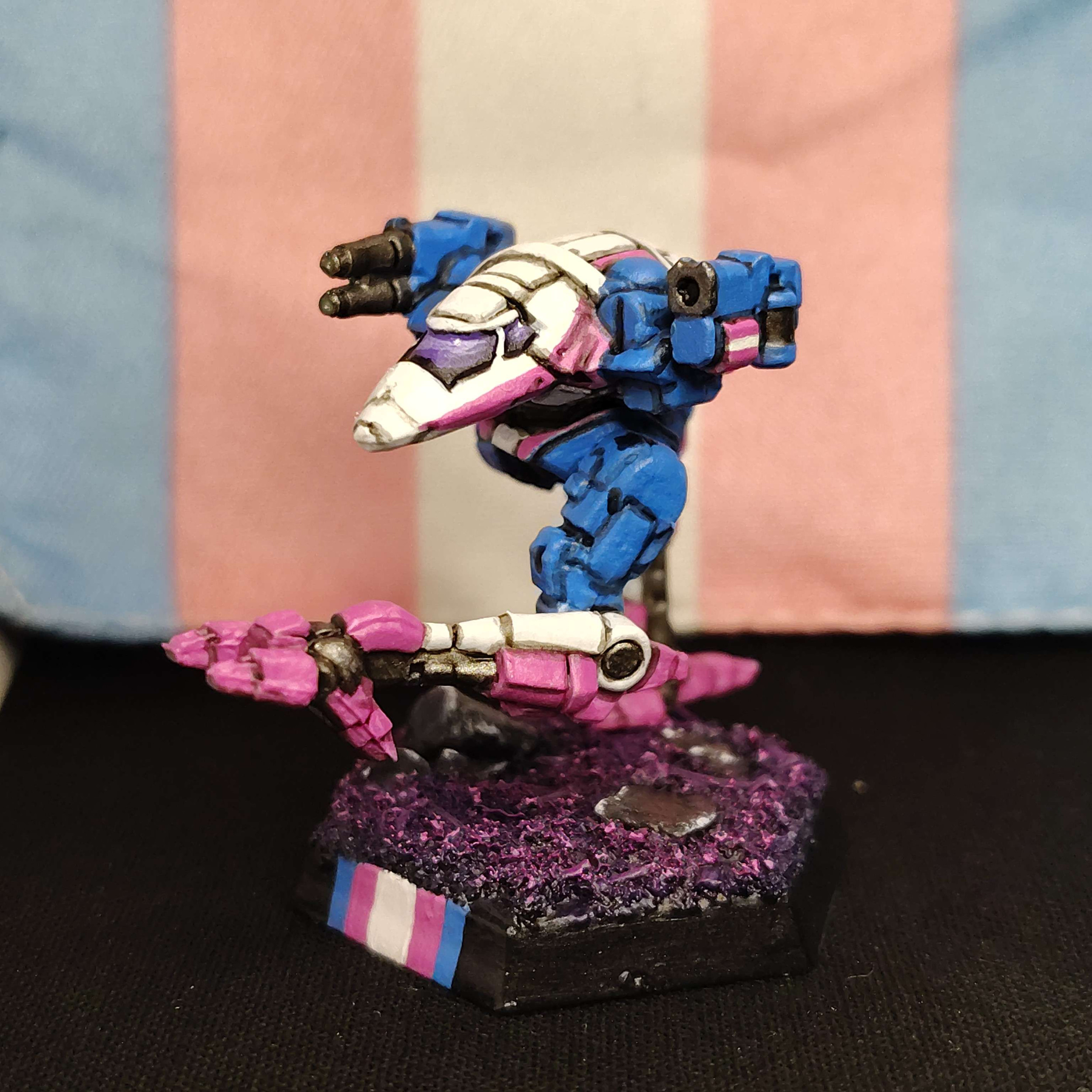Raven – Trans Pride